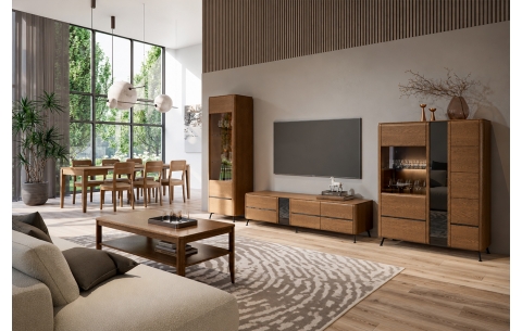 TV ir audio spintelė JANTAR 16800